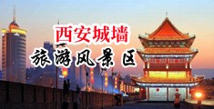 插逼内射中国陕西-西安城墙旅游风景区