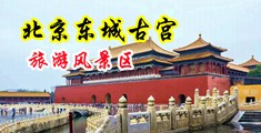 高中生操逼视频中国北京-东城古宫旅游风景区